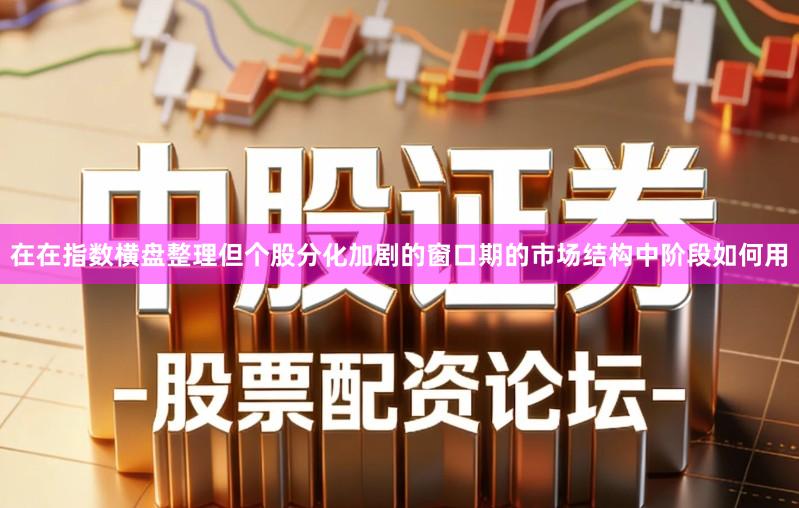 在在指数横盘整理但个股分化加剧的窗口期的市场结构中阶段如何用