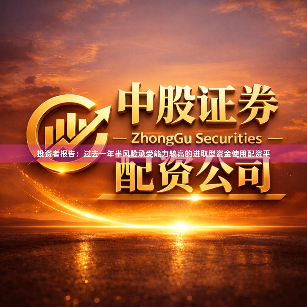 投资者报告：过去一年半风险承受能力较高的进取型资金使用配资平