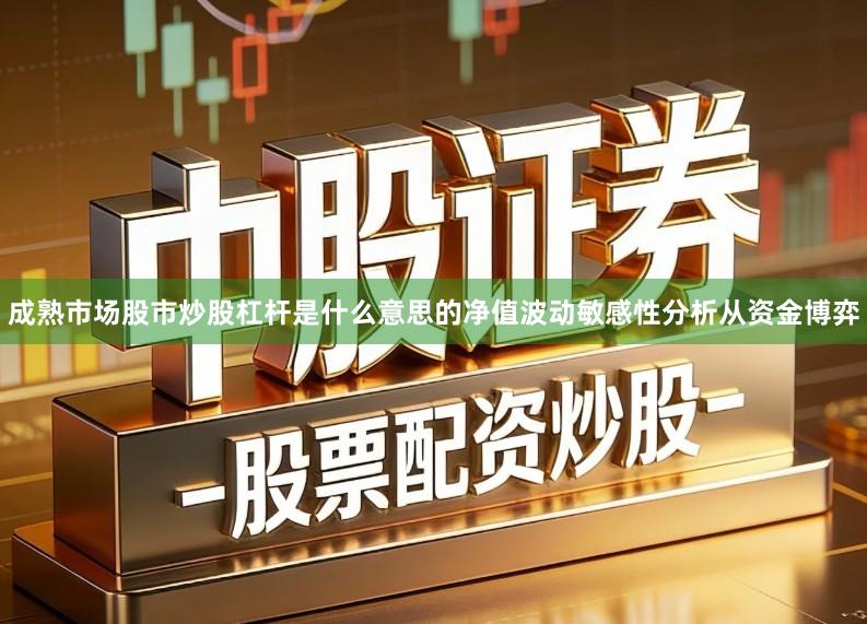 成熟市场股市炒股杠杆是什么意思的净值波动敏感性分析从资金博弈