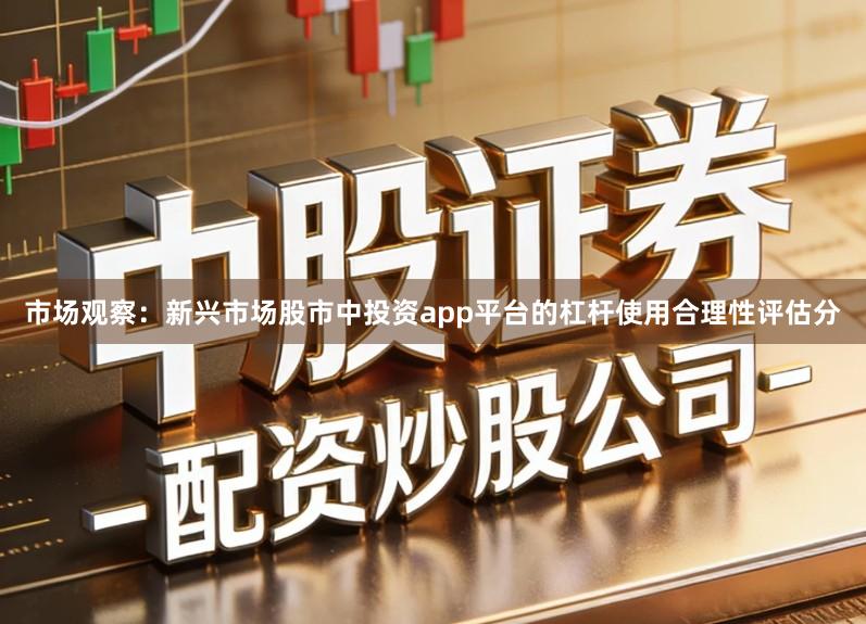 市场观察：新兴市场股市中投资app平台的杠杆使用合理性评估分