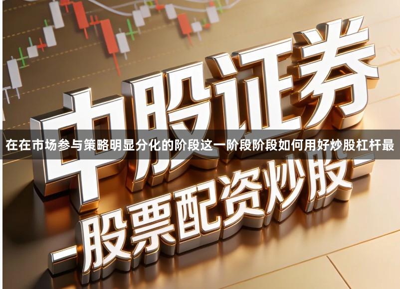 在在市场参与策略明显分化的阶段这一阶段阶段如何用好炒股杠杆最