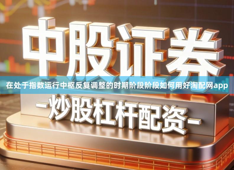 在处于指数运行中枢反复调整的时期阶段阶段如何用好淘配网app